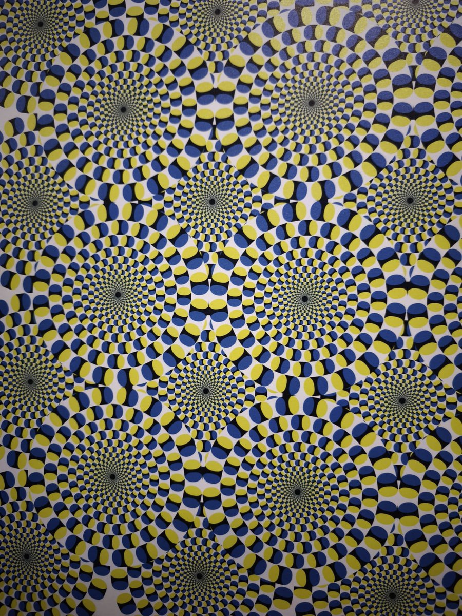 Ce que vous voyez n'est pas la réalité...

Mettez votre cerveau au défi au <a href="/IllusionMusee/">Musée de l’illusion</a> 
Ce lieu incroyable où le réel devient irréel

Parfait pour une sortie en famille ou entre amis, et idéal pour des photos uniques et surprenantes!

museedelillusion.fr