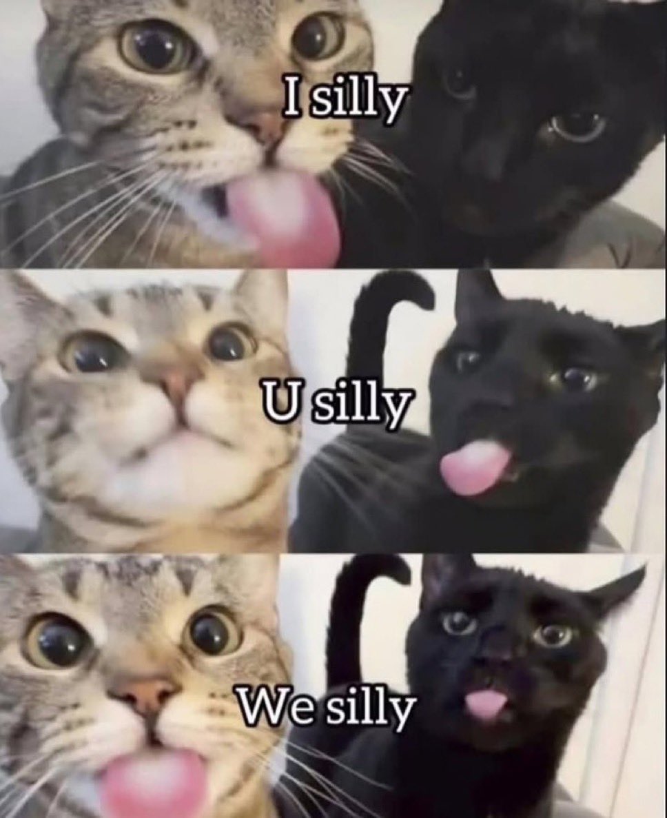 LiterallyMeCats (@literallymecats) on Twitter photo 