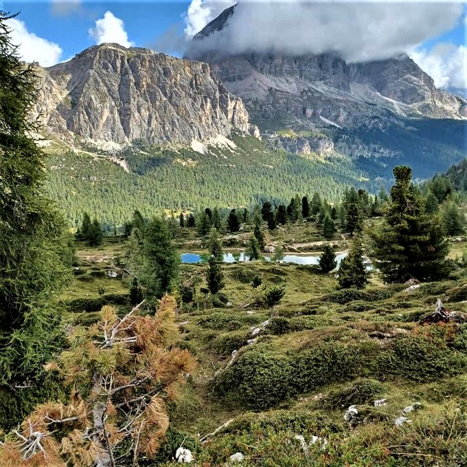 And another new day on our journey of life and wonderful new impressions and encounters that await us. A wonderful good morning and a blessed day to my beloved fellow inhabitants of planet Earth. Respect and kindness should always guide us. May God bless you❤️💙💚☘️🌿🌱🌳🌲🍀💚