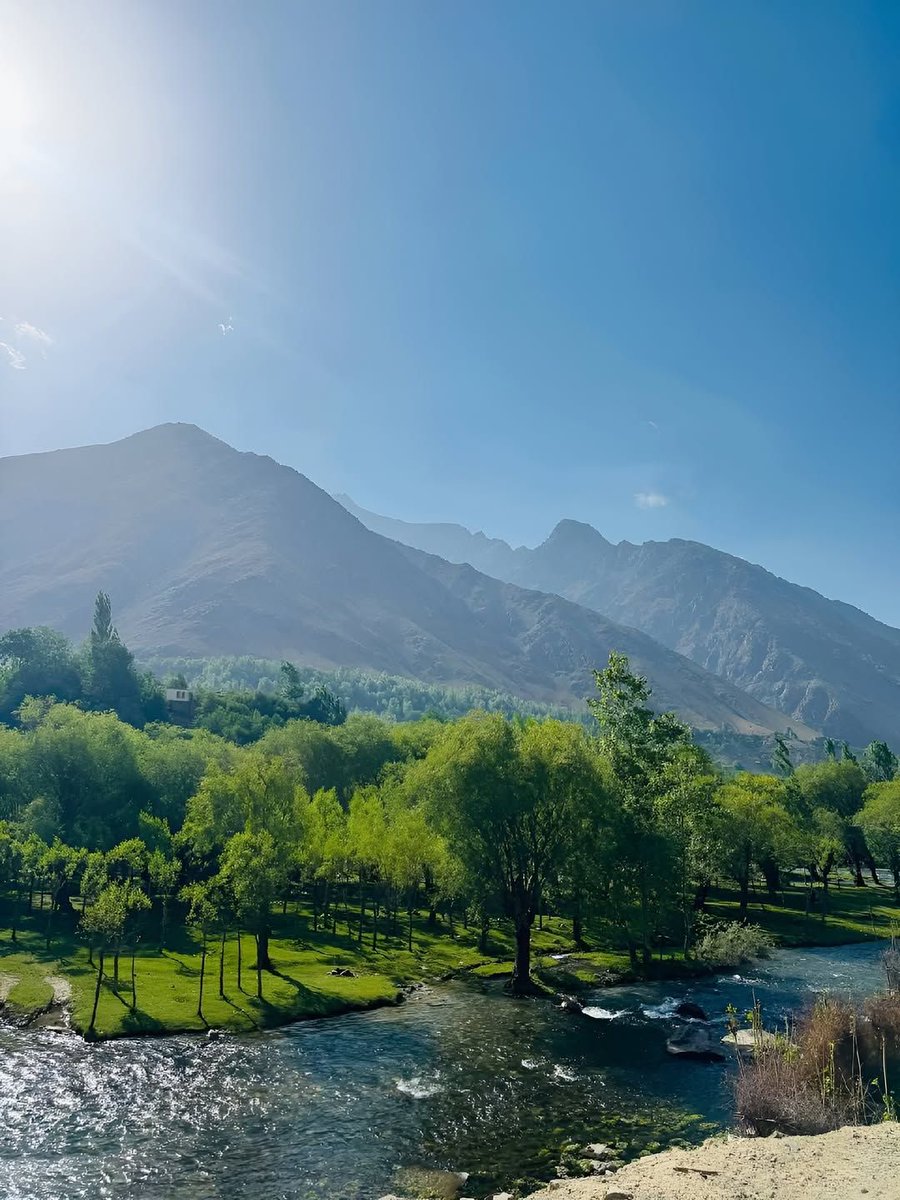 #Goedemorgen 🌄 #Twitter 🐦/ #X ✖️ vrienden,

#Maandag 🌜. Nieuwe week, nieuwe kansen. Vanuit het adembenemende #Afghanistan 🇦🇫 een #AfghaniPorn 🔥 om de dag mee te starten.
Fijne dag allemaal en vergeet de #koffie ☕ niet.

#Veteraan 🎖️ | #Defensie 🪖