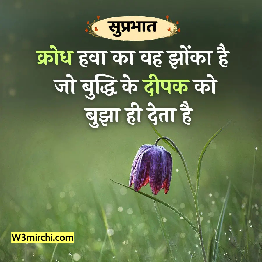 W3Mirchi's tweet photo. https://t.co/fCPPRzcSYk