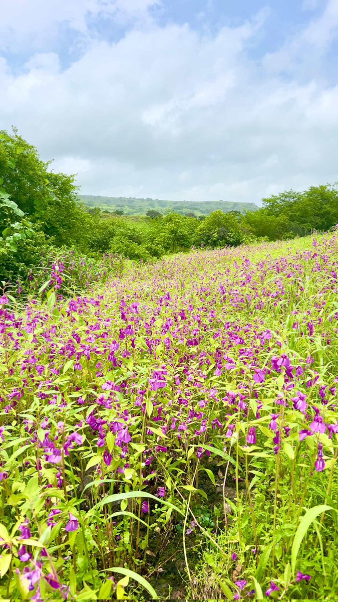 #صباح_الخير 
...

نسأل الله جلت قدرته و تقدست أسمائه
أن يبارك جهودكم و أن يكتب لكم التوفيق
 والنجاح الدائم من عطاء إلى عطاء
و من تقدم إلى تقدم
يسر الله أمركم تيسيراَ و أن يفتح لكم
ما كان عسيراَ إنه بكم خبيراً بصيراَ

يسعدلي جوكم 
#عام_دراسي_جديد
#صباح_الخير_والسعاده_للجميع