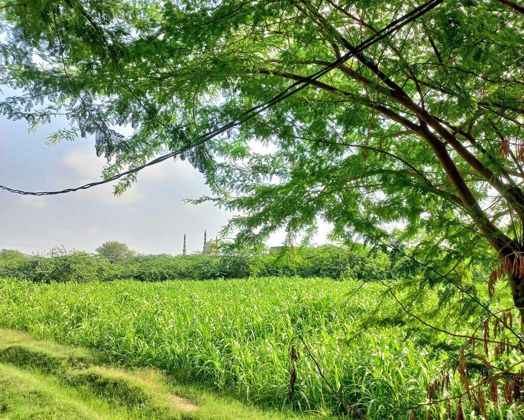 وسدیاں جھوکاں
❤️
