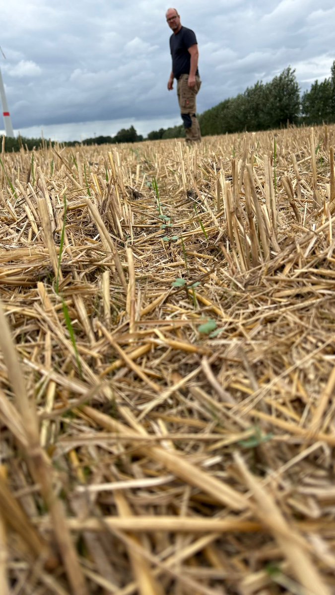 Alexander Schierholz-Prilop tweet media