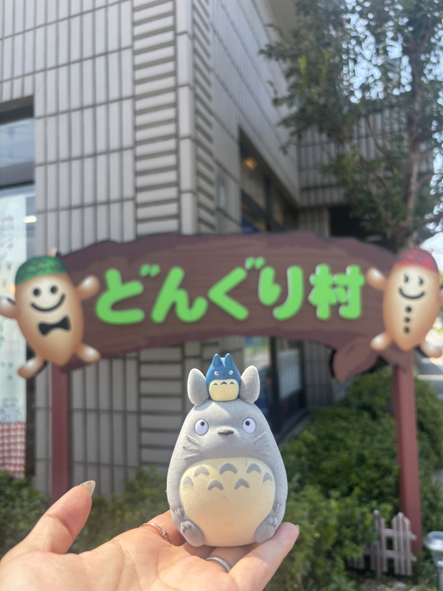 みぃみ🌿ジブリYouTube🥜 (@miimi_ghibli) / X