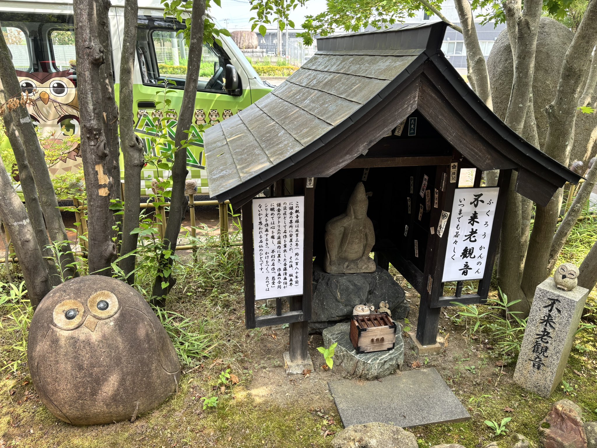 しめじページ 楽天市場】長野県産 ぶなしめじ 1パック(200g) : 生鮮食品直送便