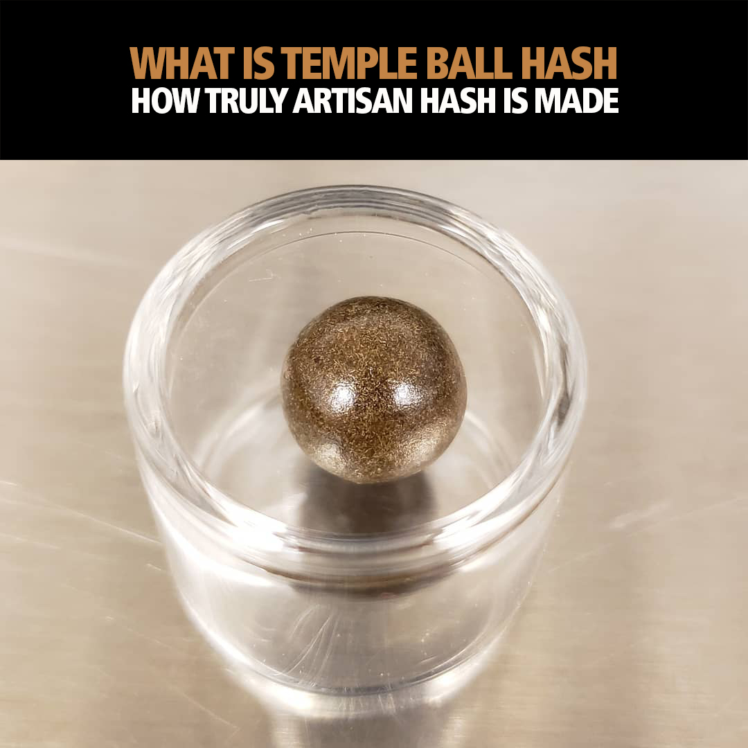 idoser's tweet photo. What is a #TempleBall? Like magic, plant #trichome heads are dried and pressed, creating what looks like fascinating dark brown taffy. Want to know more? Dive down the #RabbitHole here: https://t.co/6hGLoeZpuF https://t.co/1kKS1oZx6q