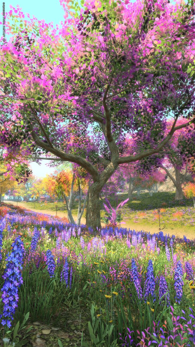 🌳🌱🪻🌼

#FF14風景