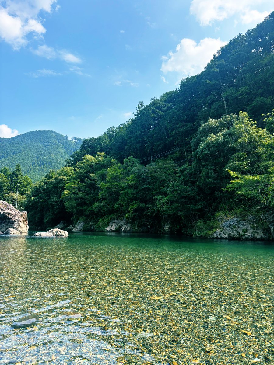 Zephyranthess's tweet image. 夏なう②