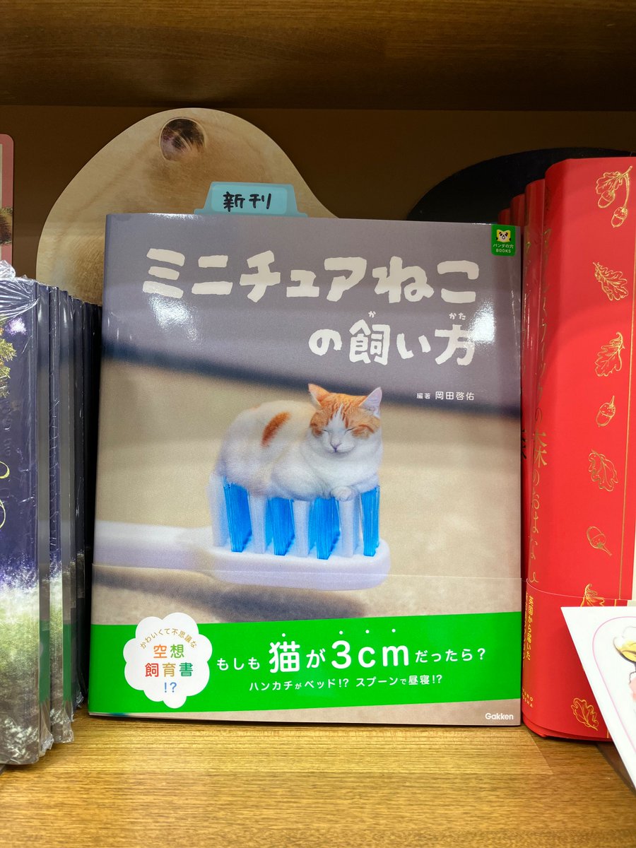 『ミニチュアねこの飼い方』（岡田啓佑著/Gakken刊）
もしも猫が3cmだったら...？💭
日常の風景に溶け込む小さくてかわいいねこちゃんたちに癒されます🐈🩷
ミニチュアねことの不思議なくらしを覗いてみませんか？？🐱
#ミニチュアねこの飼い方
#岡田啓佑 さん
#Gakken