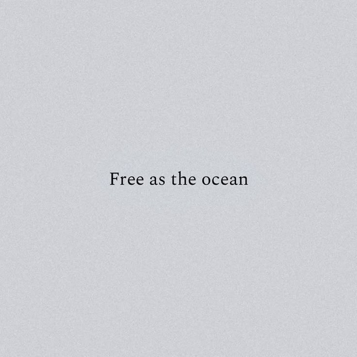 amoraa moyash☃️🫧 tweet media