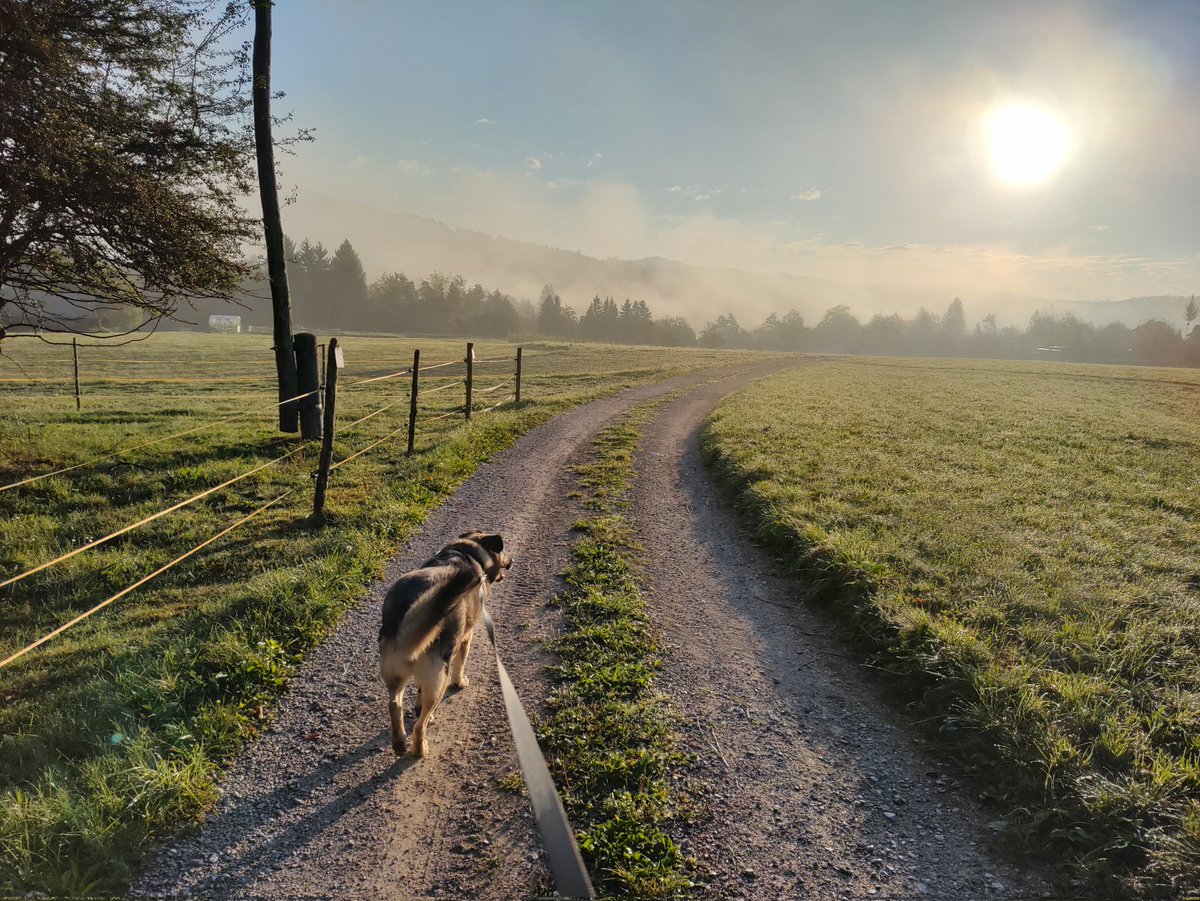 Dobro jutro