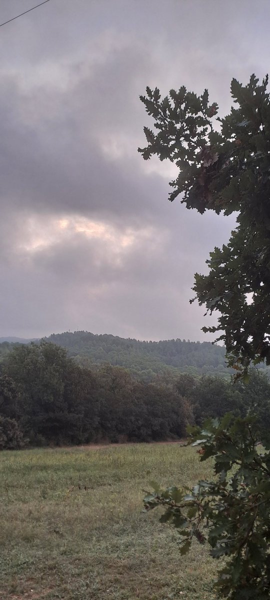 Bon dia i bona setmana gironines i gironins!
Avui els seguidors del <a href="/GironaFC/">Girona FC</a> ho veiem tot com el cel d'aquest matí: gris, mig emboirat, però segur, segur, que tornarà a sortir el sol!
VISCA EL <a href="/GironaFC/">Girona FC</a>!!!