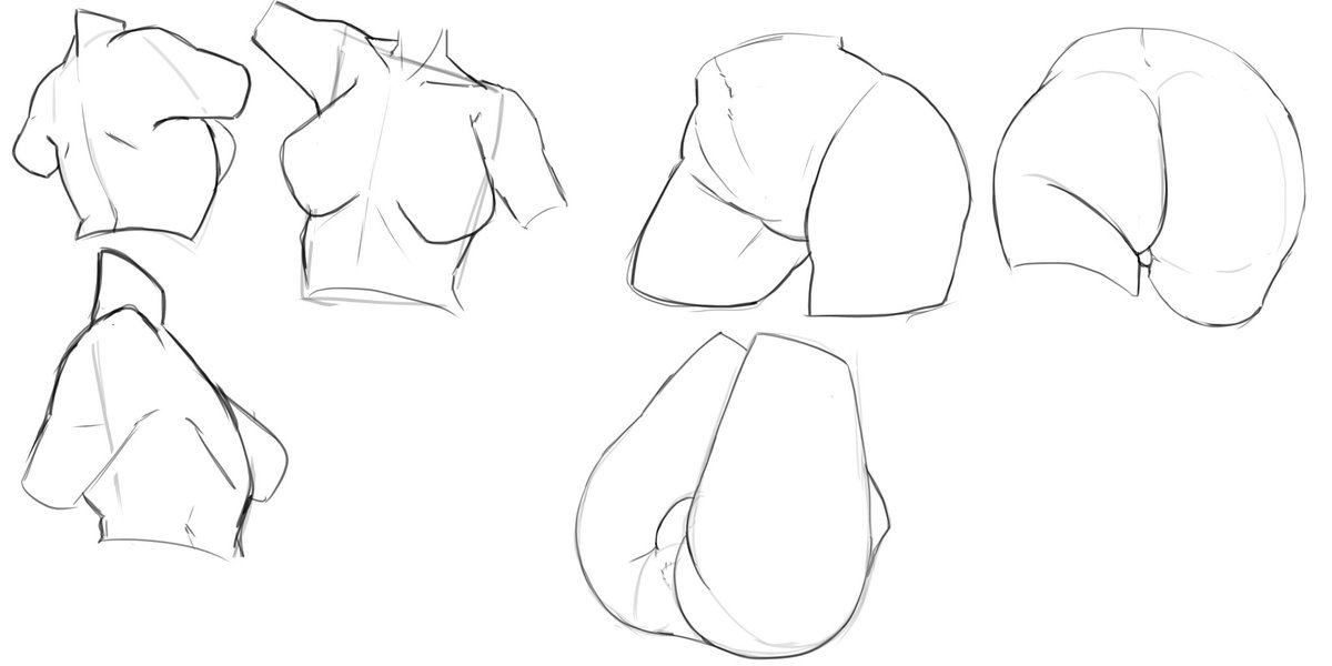 Anatomy practice, needed to do everday to be consist i think🥀