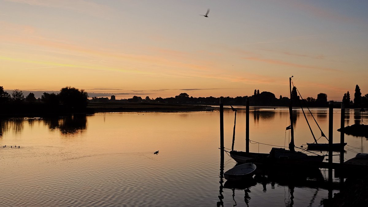 Motormiss's tweet image. Ochtendgloren, mooie kleuren, weerspiegeling, glad water, bootje, zonsopgang en..... rust.
Zo'n begin van de dag brengt me terug naar de basis 
#Andel #Altena #afgedamdemaas #zonsopgang #ochtendgloren