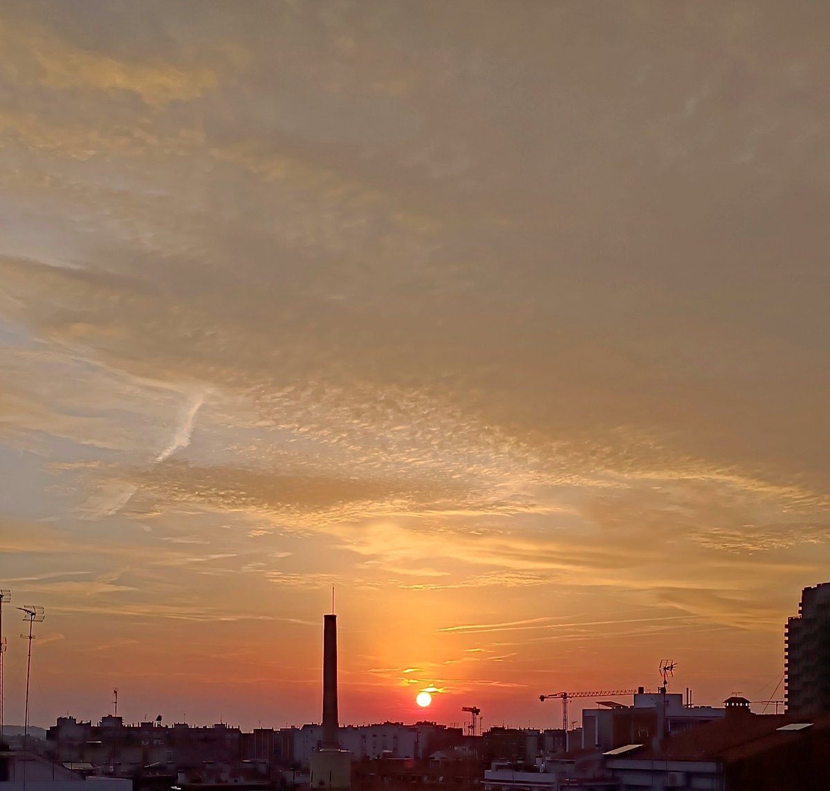 Amanece un Lunes con su vuelta a la rutina...
Pero así de bonito.

#bondia
#felizsemana