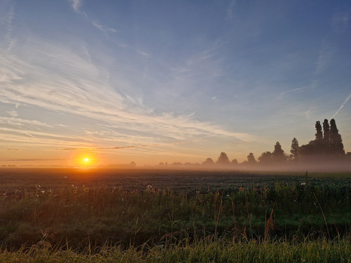 Fabiovdsteen's tweet photo. Goodmorning to all kind people, rise and shine from the Netherlands! ☕️🥐🌅 https://t.co/EWxpUiOhGK