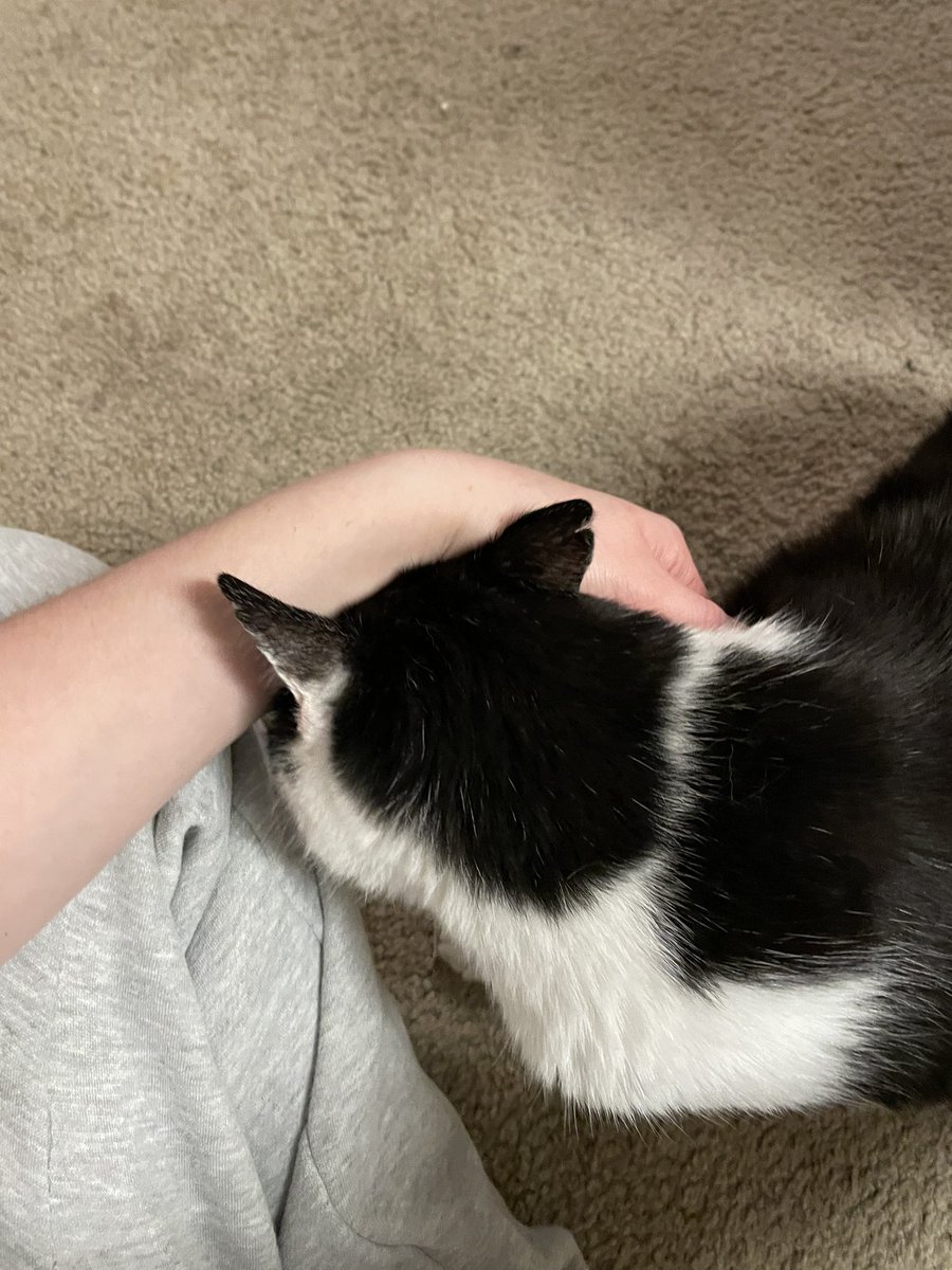 lov momb even if she put. Drop's into my Eye so it donot   explode