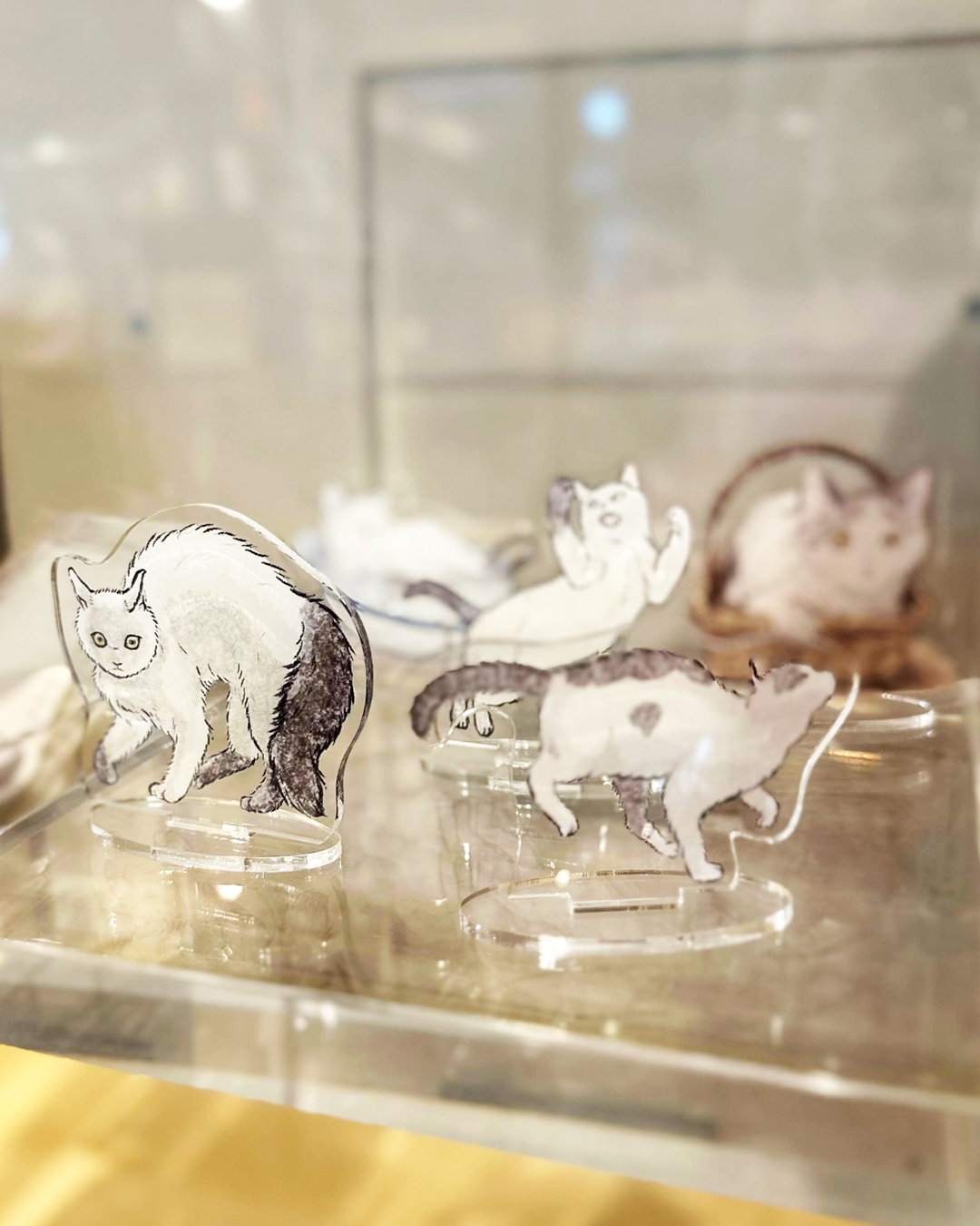 ★やまとのねこページです★ IMG_5777.jpeg