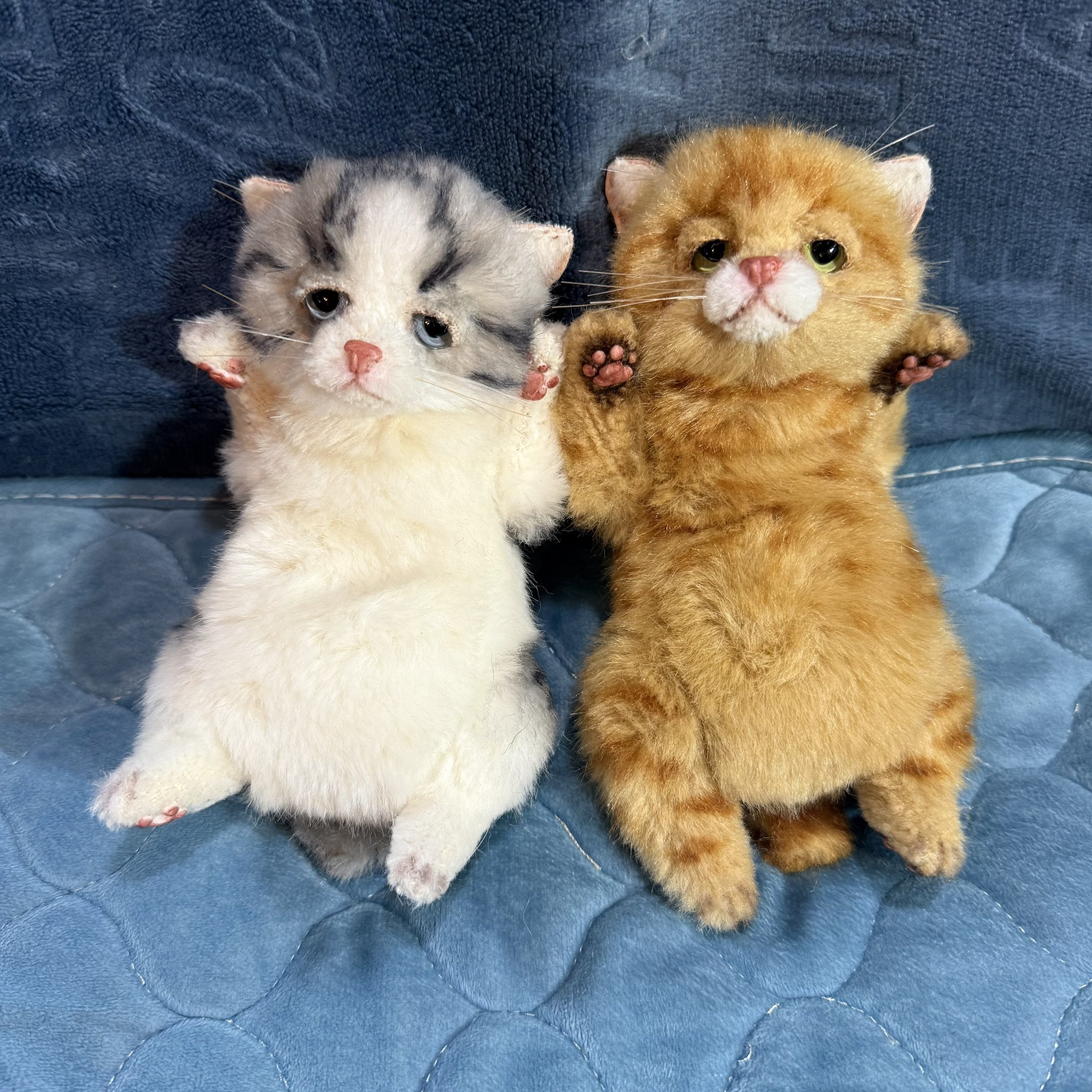 猫　テディベア作家 猫 アートドール ぬいぐるみ 海外作家 テディベア - メルカリ