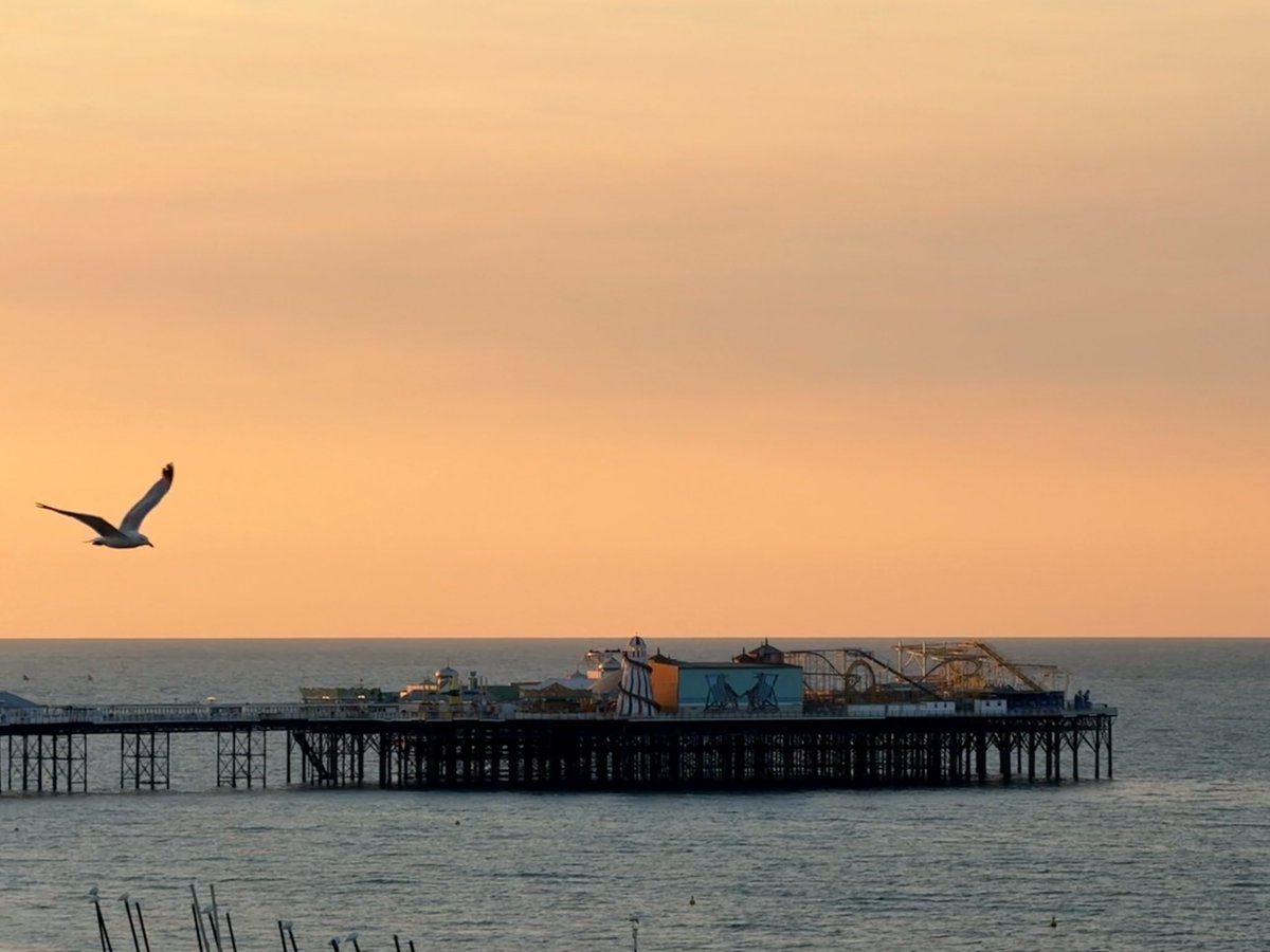 Stephen Royle (@steveontour1) on Twitter photo A great start to #BankHolidayMonday in #Brighton. #UsualSeagull waiting to meet new friends. <a href="/ThePhotoHour/">#ThePhotoHour</a> A great start to #BankHolidayMonday in #Brighton. #UsualSeagull waiting to meet new friends. <a href="/ThePhotoHour/">#ThePhotoHour</a>