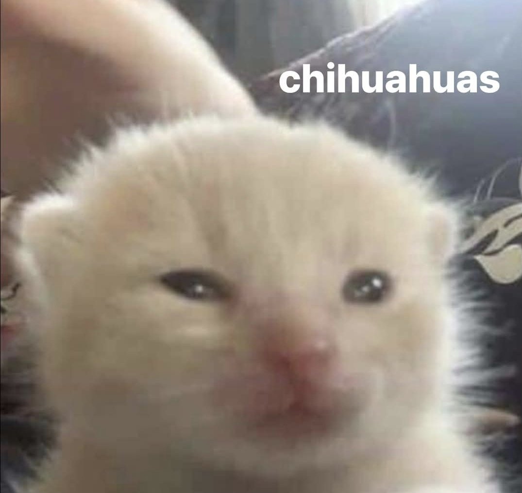 Iba a preguntar que a quién le caigo tan mal como para desearme todas las cosas que me están pasando y ya me acordé a quién