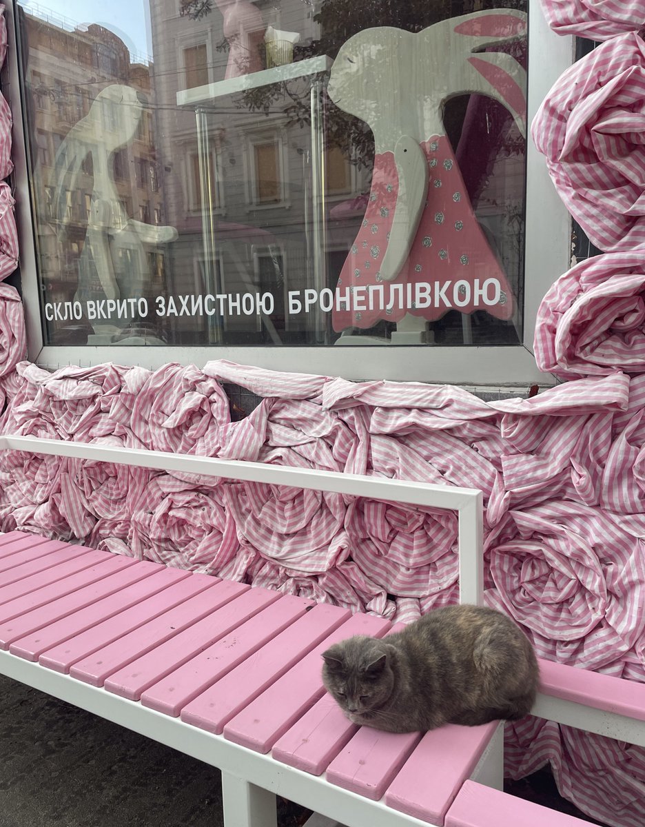 This Kharkiv cat wishes all to feel like a princess this week.