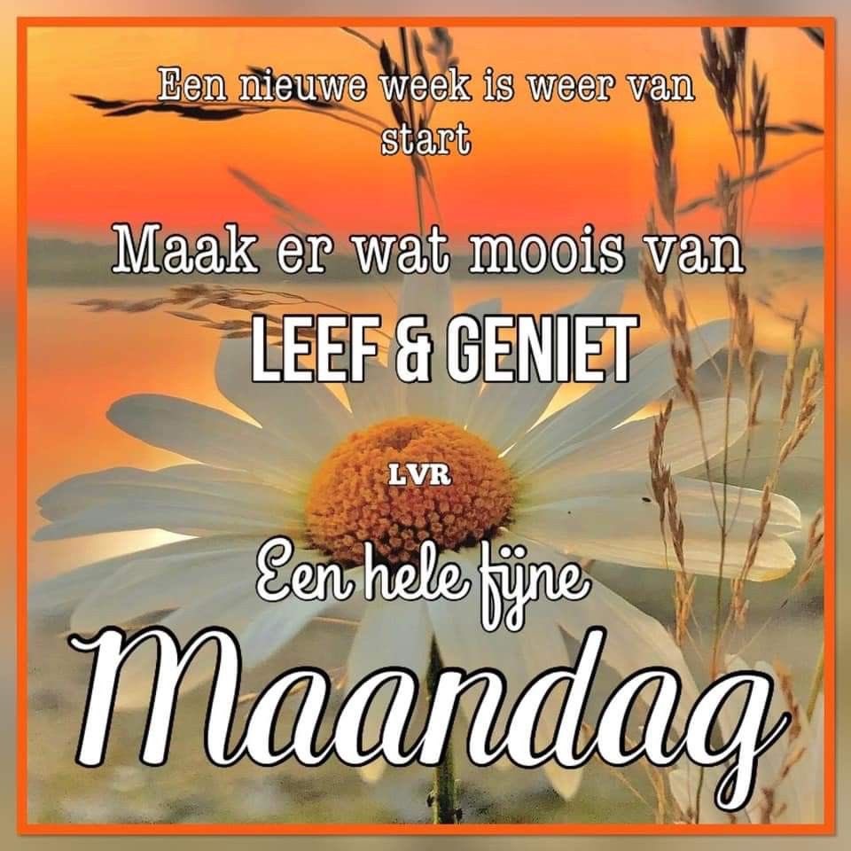 Goedemorgen iedereen
