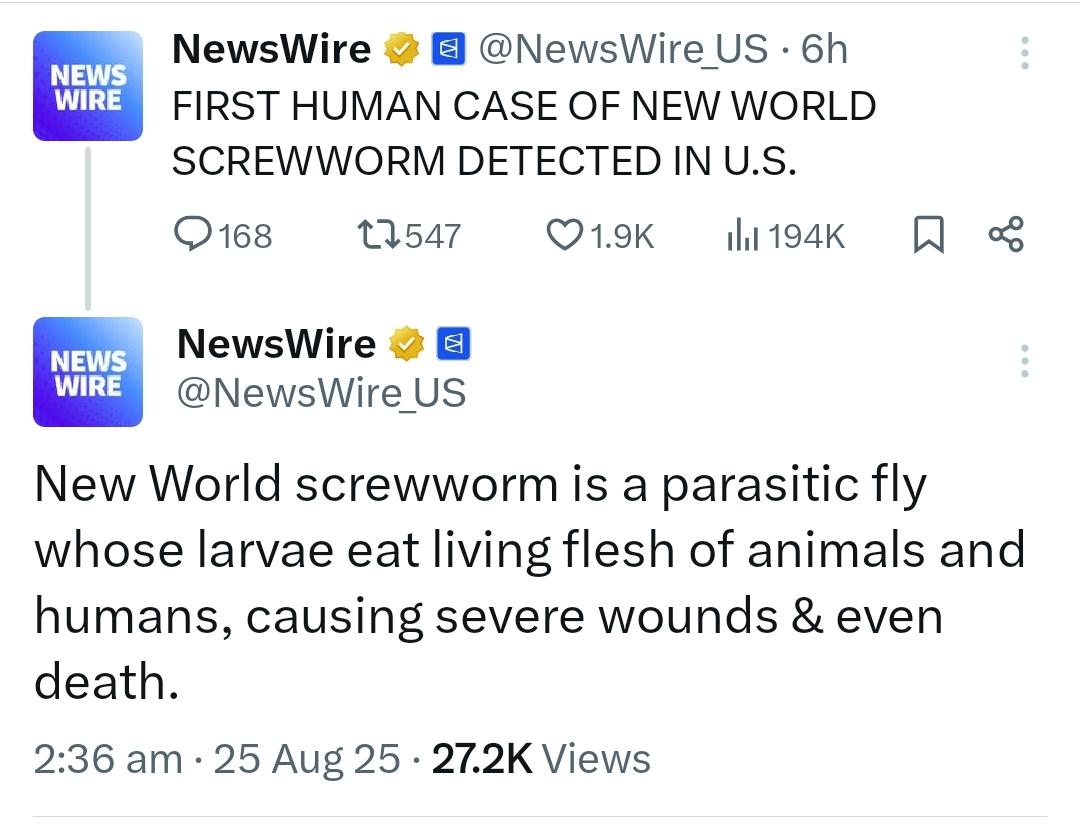 wtf 👀👇🏻
