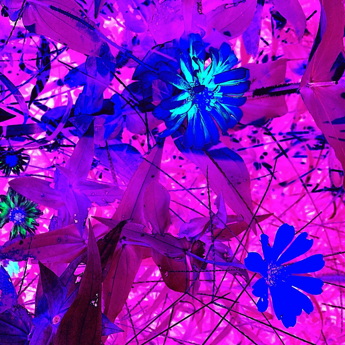 lightingmimi tweet picture