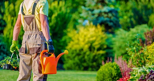 MediaAz1's tweet image. 🪴Мужчина работает садовником, не зная об этом - необычный случай в Баку.

Подробнее по ссылке: media.az/post/1068039515

#новости #mediaaz #садовник #случай