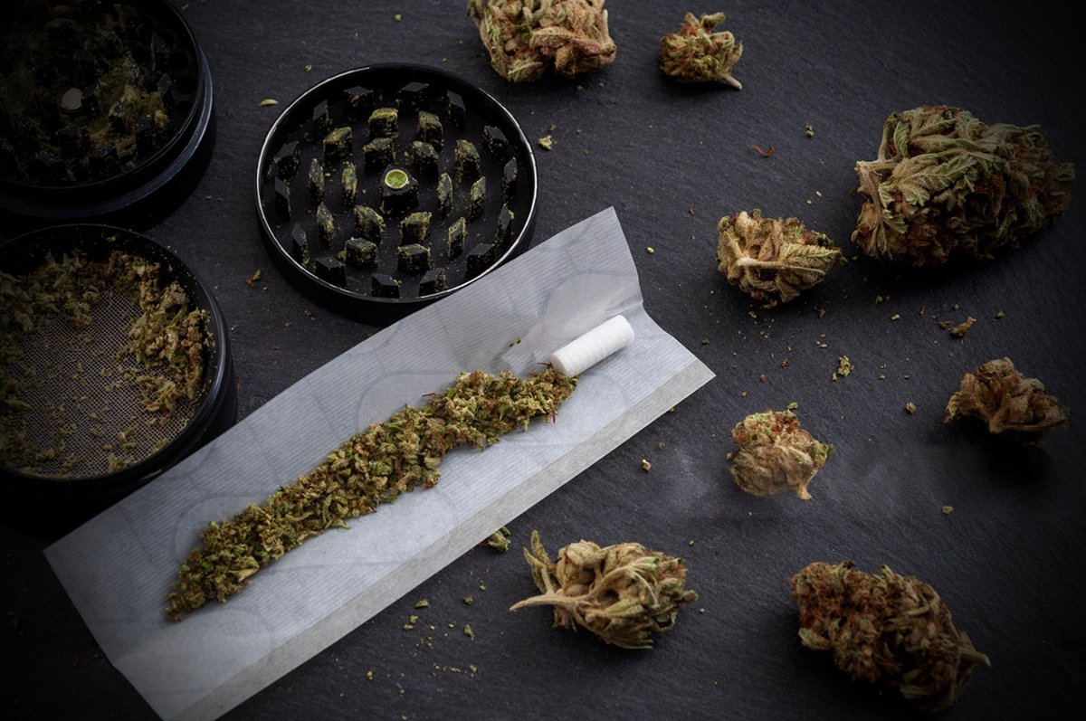 🌄 Barcelona Vibes and Cannabis 🏖️ Enhance your Barcelona experience with a touch of cannabis. Join us to explore the vibrant Mediterranean city and its rich culture. Cannabis adds a new layer to your Barcelona vibes.  #WeedClubcannabis #cannabis #THC #Cbd #cannabisedibles