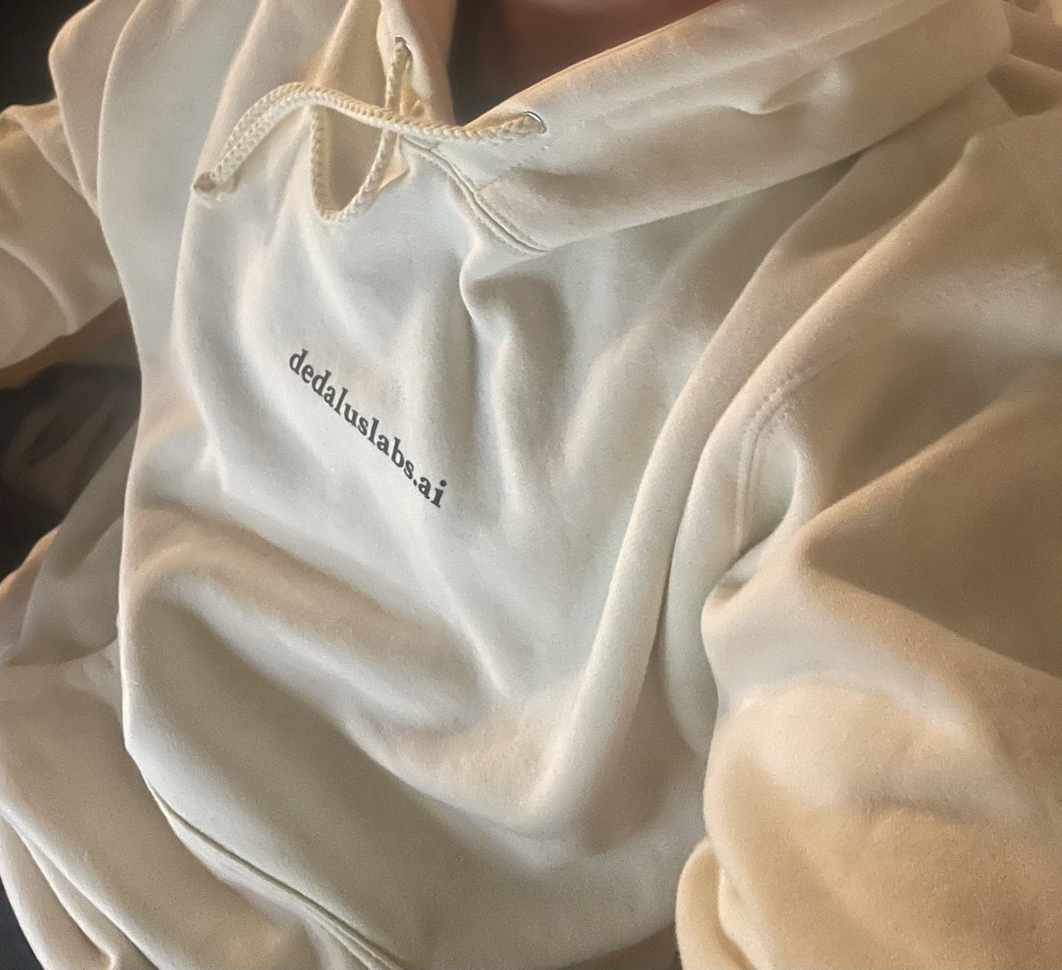 These <a href="/dedaluslabs/">Dedalus Labs</a> hoodies are so comfy, thanks to <a href="/itsCathyDi/">Cathy Di</a> for giving them away at the hackathon 😁
