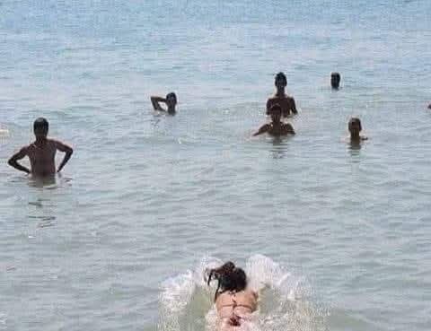 Gitme turnam vuracaklar kanadını kıracaklar, türküsünün vücut bulmuş hali.
#Günaydın