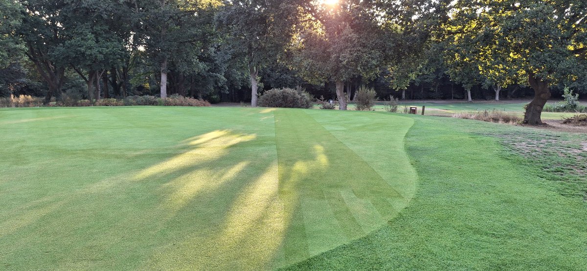 Worksop Greens tweet media