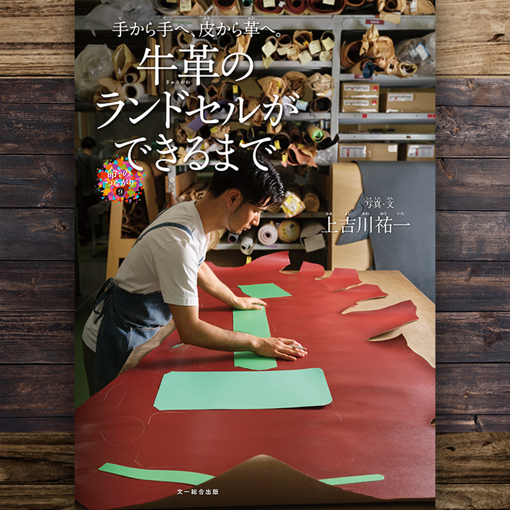 バーダー 文一総合出版 36冊セット バーダー 文一総合出版 36冊