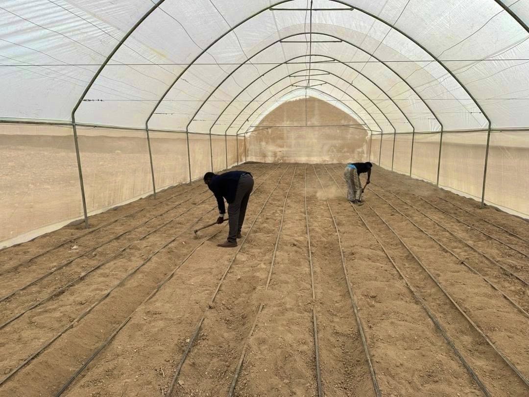 caresom's tweet photo. Thanks to @FinlandinSom , @caresom in partnership with @HAVOYOCO4 and Somaliland's Ministry of Agriculture, we conducted training for 25 cooperatives across 10 schools in Sanaag. Farmers learned modern techniques on how to optimize smart greenhouses to boost local agriculture. https://t.co/D6o7MDQJRW