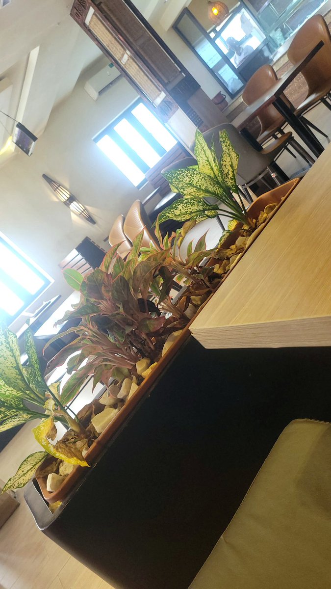 Anis Sammie🧊 tweet media