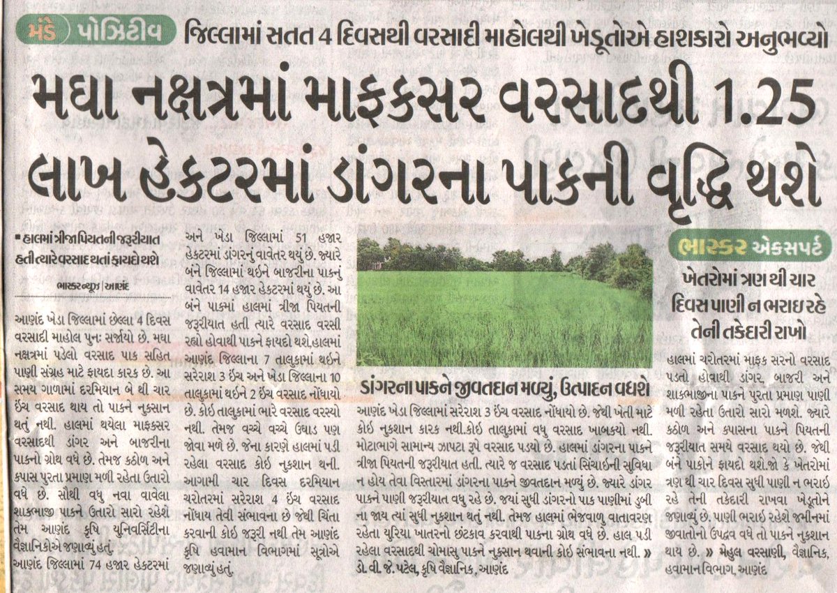 Anand Agricultural University (@anandagriuni) on Twitter photo #AAUAnand
<a href="/PMOIndia/">PMO India</a>
@governorofguj
<a href="/CMOGuj/">CMO Gujarat</a>
<a href="/RaghavjiPatel/">Raghavji Patel</a>
@GujAgridept
<a href="/icarindia/">Indian Council of Agricultural Research.</a>
<a href="/InfoGujarat/">Gujarat Information</a> 
મઘા નક્ષત્રમાં માફકસર વરસાદથી 1.25 લાખ હેકટરમાં ડાંગરના પાકની વૃદ્ધિ થશે #AAUAnand
<a href="/PMOIndia/">PMO India</a>
@governorofguj
<a href="/CMOGuj/">CMO Gujarat</a>
<a href="/RaghavjiPatel/">Raghavji Patel</a>
@GujAgridept
<a href="/icarindia/">Indian Council of Agricultural Research.</a>
<a href="/InfoGujarat/">Gujarat Information</a> 
મઘા નક્ષત્રમાં માફકસર વરસાદથી 1.25 લાખ હેકટરમાં ડાંગરના પાકની વૃદ્ધિ થશે