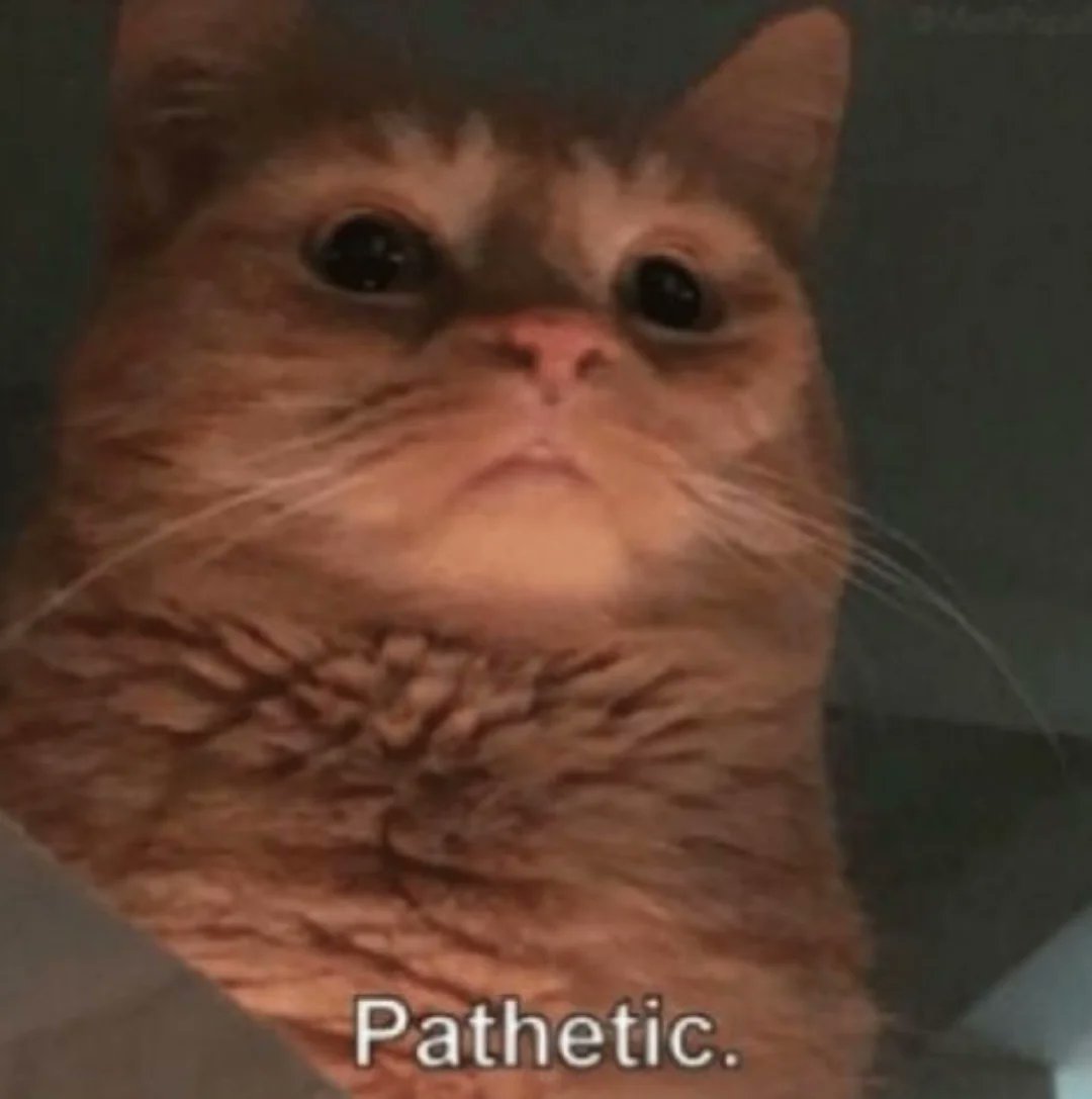 toshi mart (@toshimart) on Twitter photo $ETH price is still below $15,000
Time travelling cat. $ETH price is still below $15,000
Time travelling cat.