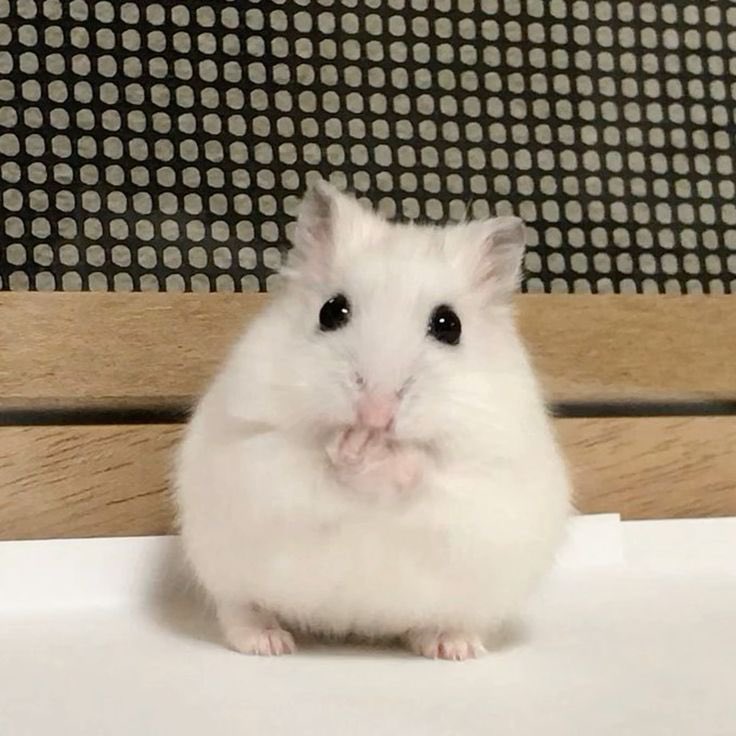 와 뺑이 치고 왔는데 푸슝에 뭐가 엄청많아..  메이저야