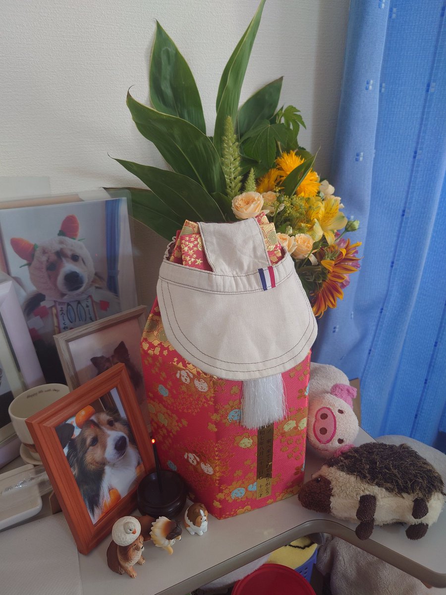 レノおかえり。暑い中大変だったね。涼しい部屋でゆっくり休んでね!