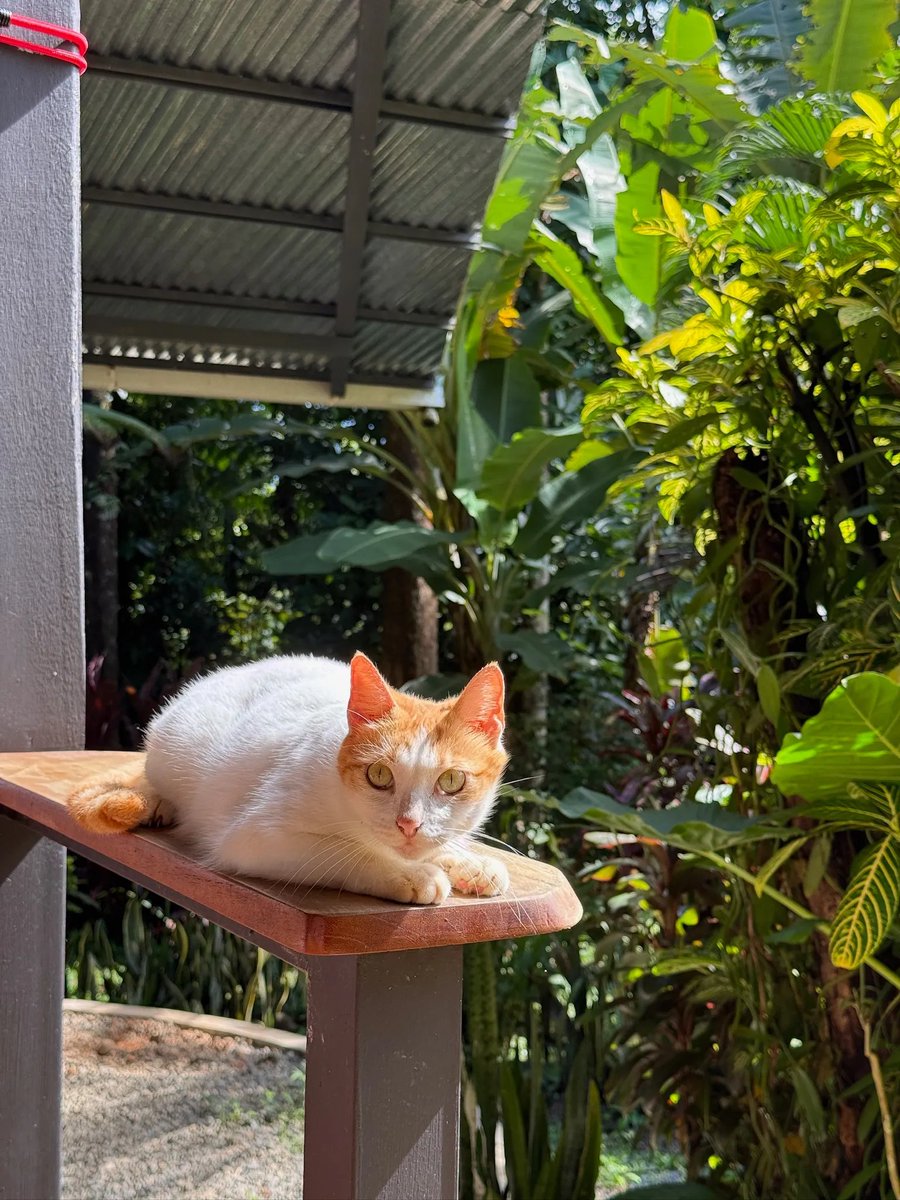 SwayLang's tweet image. Missed out on Fuel Forge I? Where should we take Fuel Forge II? 👀