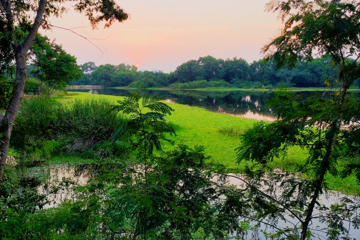 HydUniv's tweet image. The pictures contributed by Ms. Sandhya, School of Physics for the University of Hyderabad Calendar 2025.

#uohcalendar #calendar2025 #calendars #floraandfauna #pictureoftheday #uohcamp #UoHCampus #wildlifephotography #university #UOH #UniversityofHyderabad #Physics

@HydUniv