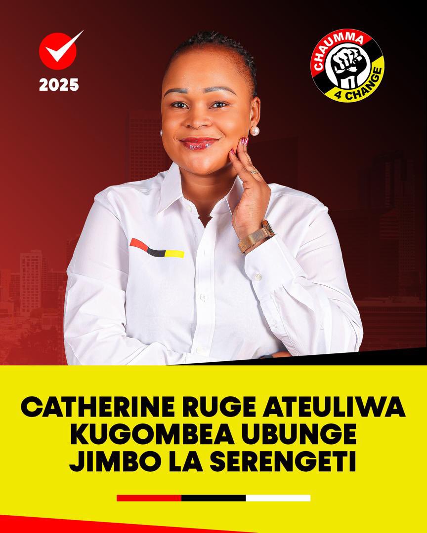 Associate CPA Catherine Ruge (Msubhati) tweet media