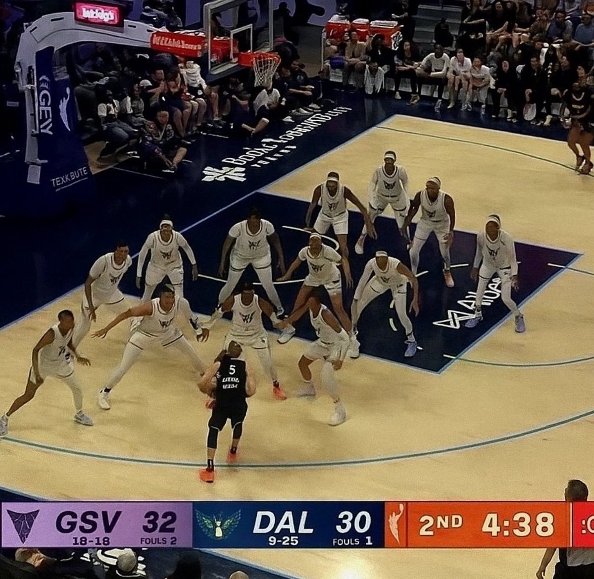 theygotmeagainn's tweet image. Valks were scared asf of my rookie! 🤞🏼😭