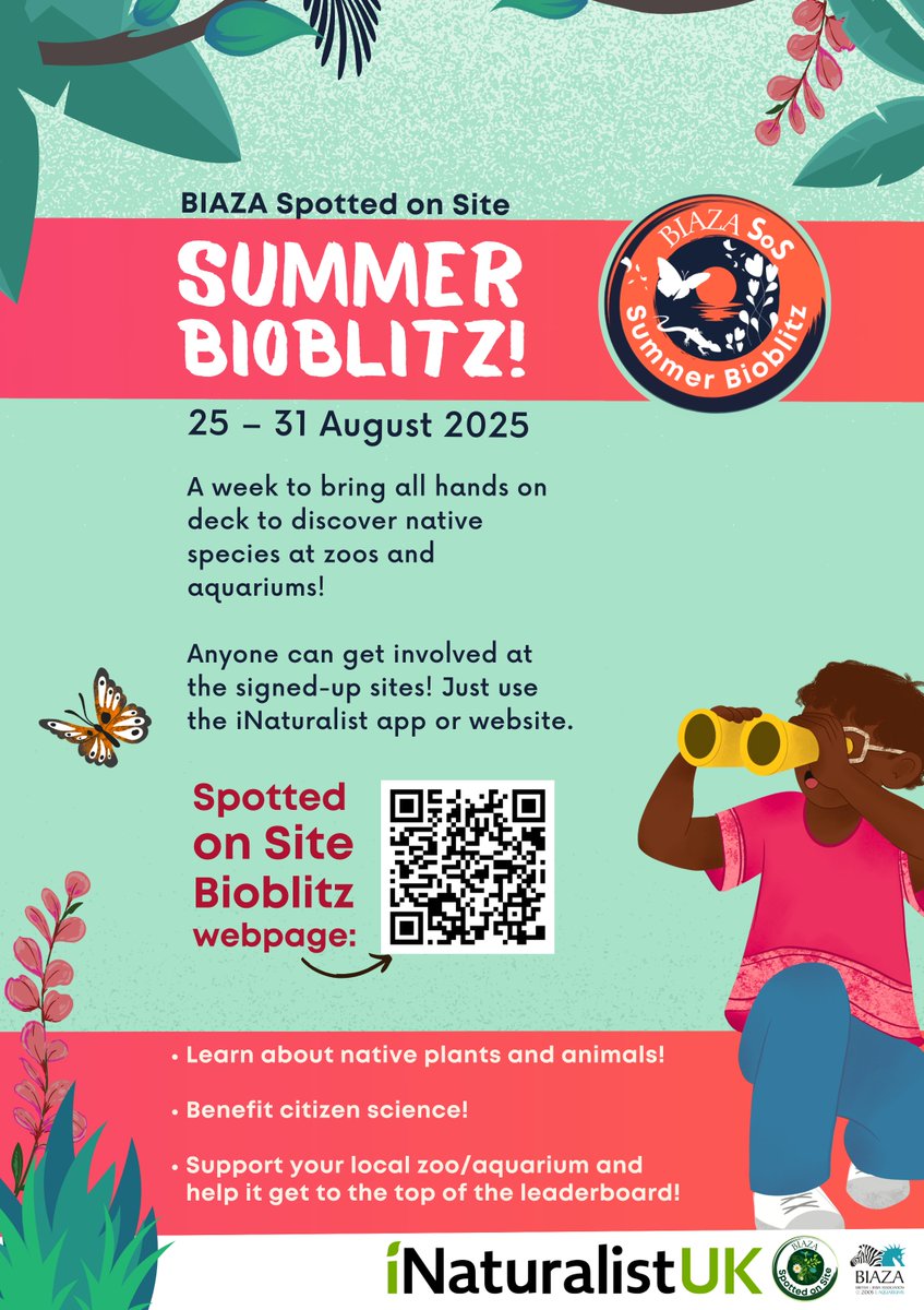 BIAZA's tweet image. 🦆☀️Our Summer Bioblitz begins today! ☀️🦋

Take a look at the developing leaderboard here:
uk.inaturalist.org/projects/biaza…

The Bioblitz wraps up on the 31st. Happy species spotting! 🌺🔍
