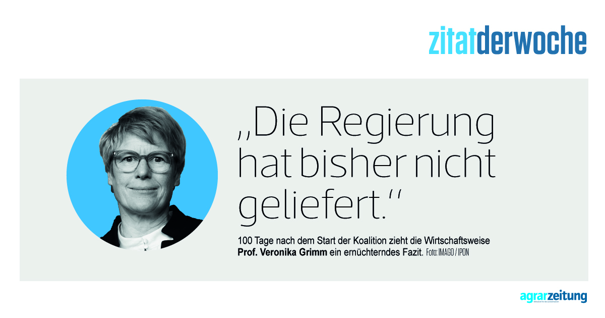 #Bundesregierung #Wirtschaftsweise #Prof. Veronika Grimm #Bundeskanzler Friedrich Merz #Koalitionsvertrag #Große Koalition #Bilanz 100 Tage