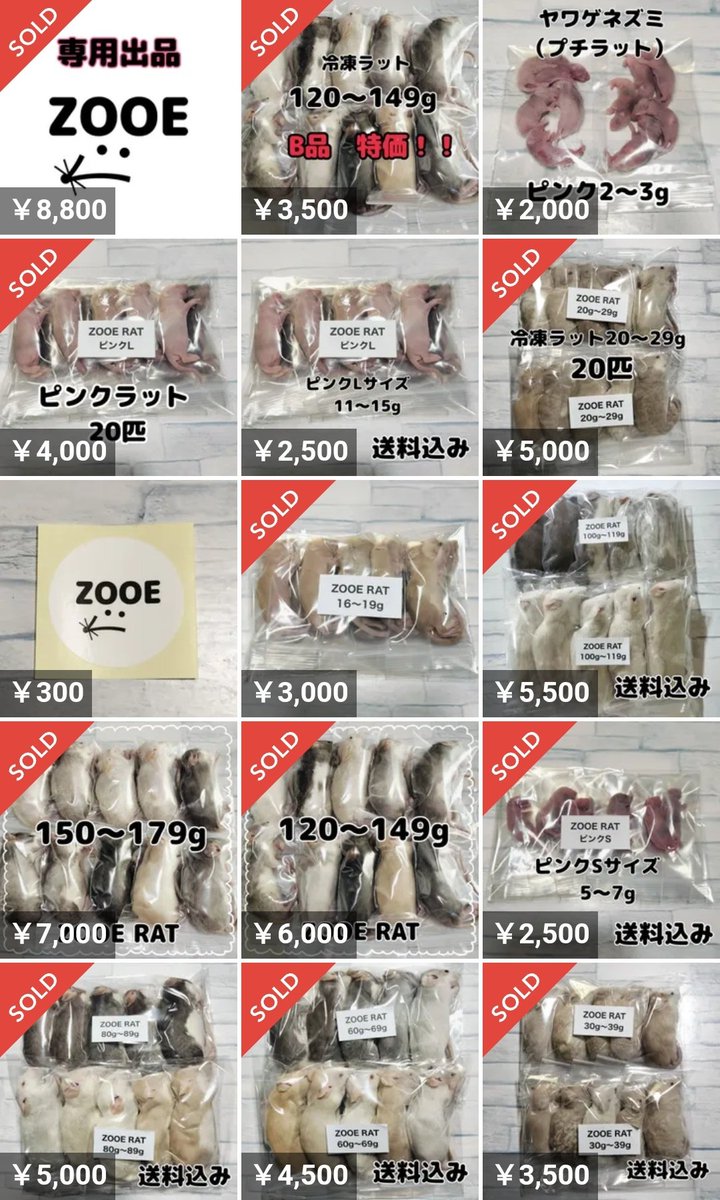 ZOOE（ズーエ）冷凍ラット販売店 (@ZOOE_rat) / X