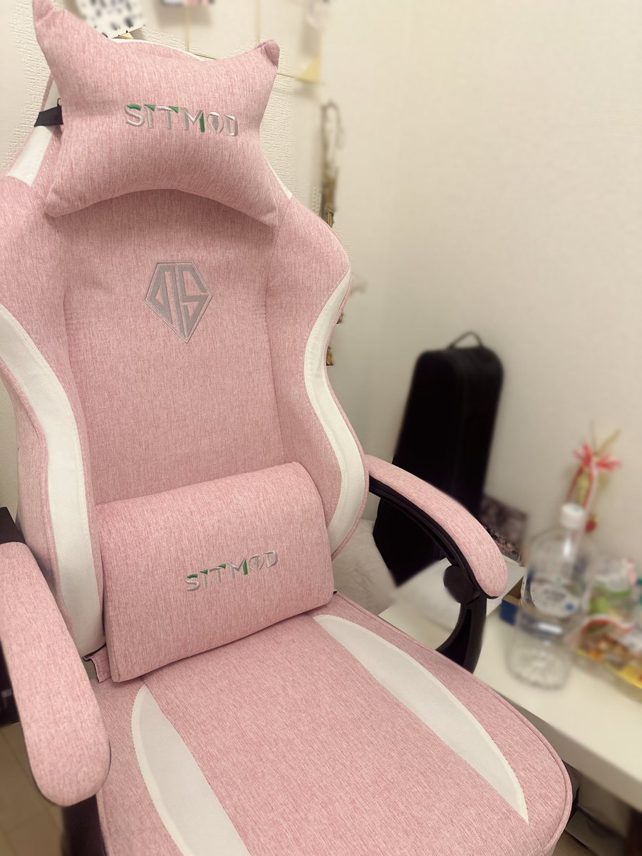 ゲーミングチェアがやっと完成された！！！！これによりうさぎがいれるスペースが減った！！！！！(՞ . .՞)🎮